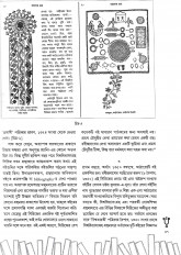 Inside page 4
