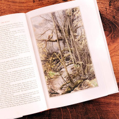 Inside page 2