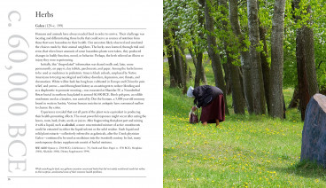 Inside page 4