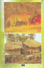 Inside page 1