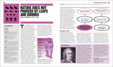 Inside page 4