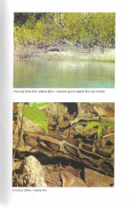 Inside page 3