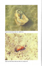 Inside page 4