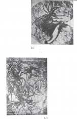 Inside page 2