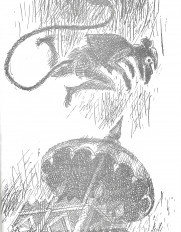 Inside page 3