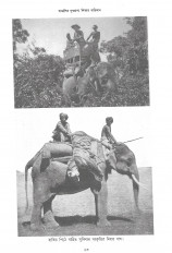 Inside page 5
