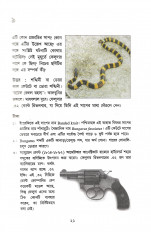 Inside page 4