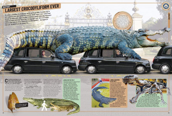 Inside page 3
