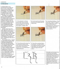 Inside page 4