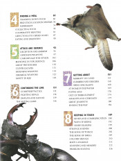 Inside page 3
