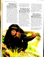 Inside page 10
