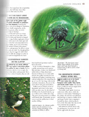 Inside page 11