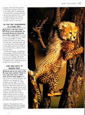 Inside page 13