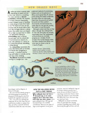 Inside page 14