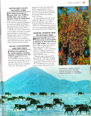 Inside page 15