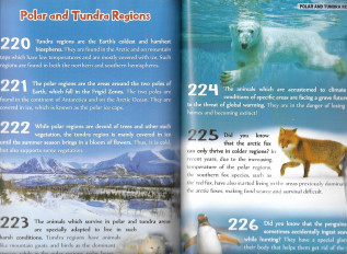Inside page 3