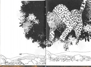 Inside page 4