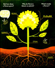 Inside page 1