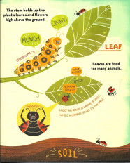 Inside page 3