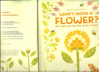 Inside page 4