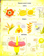 Inside page 6