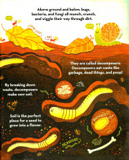Inside page 7
