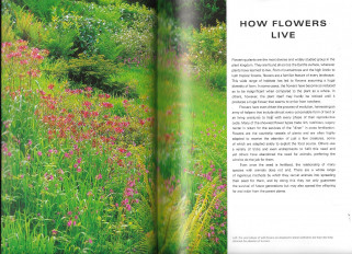Inside page 3