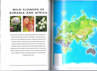 Inside page 4