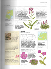 Inside page 5