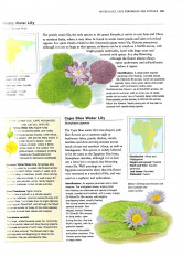 Inside page 6