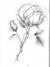 Inside page 1