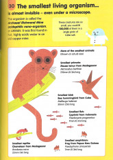 Inside page 4