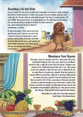 Inside page 2