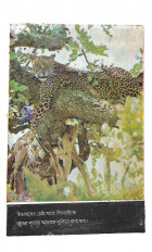 Inside page 2
