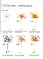 Inside page 8