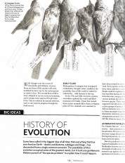 Inside page 3