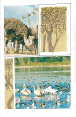 Inside page 2