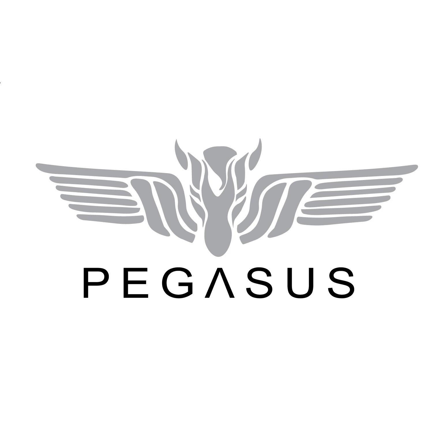 PEGASUS