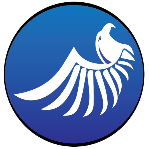 white falcon publishing