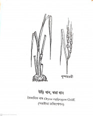 Inside page 5