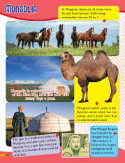 Inside page 5