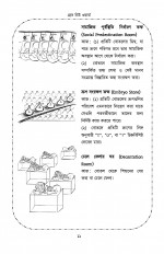 Inside page 7