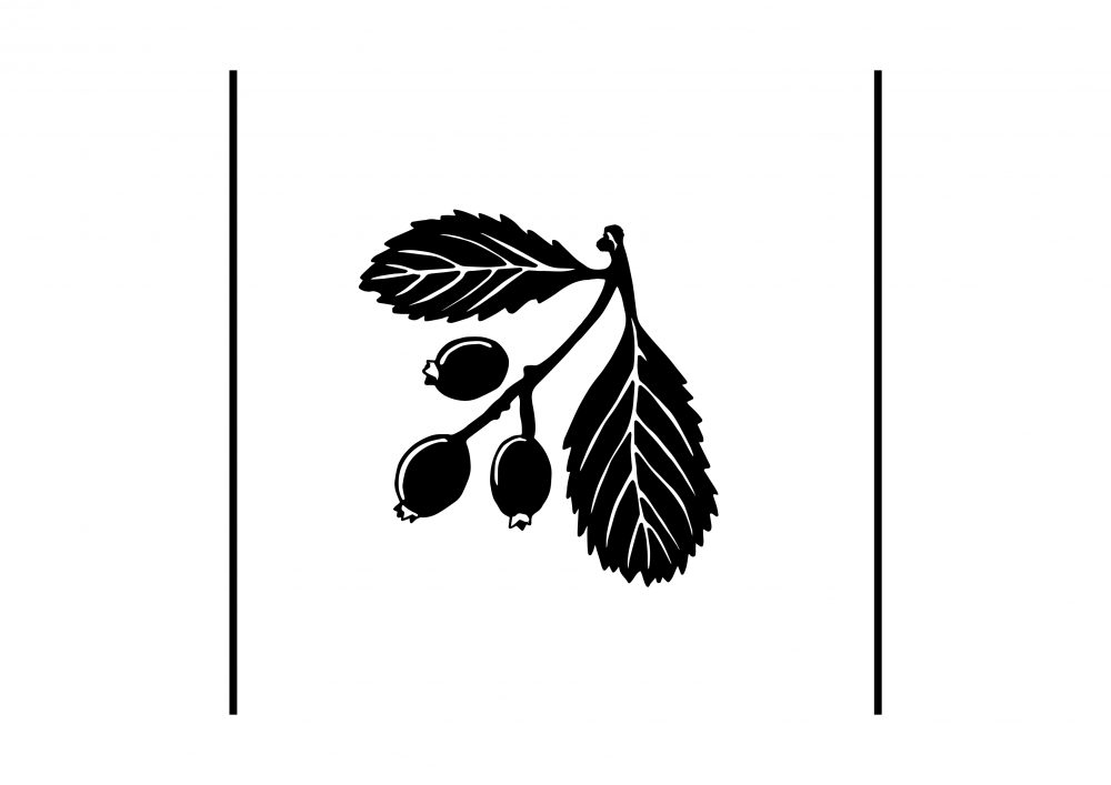 Elliott & Thompson Limited