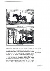 Inside page 5