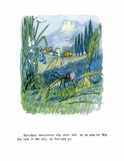 Inside page 5