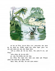 Inside page 7