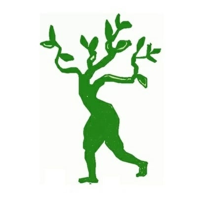 বীরুৎজাতীয় সাহিত্য সম্মিলনী
