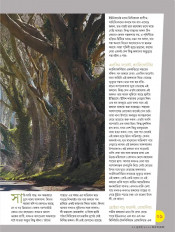 Inside page 3